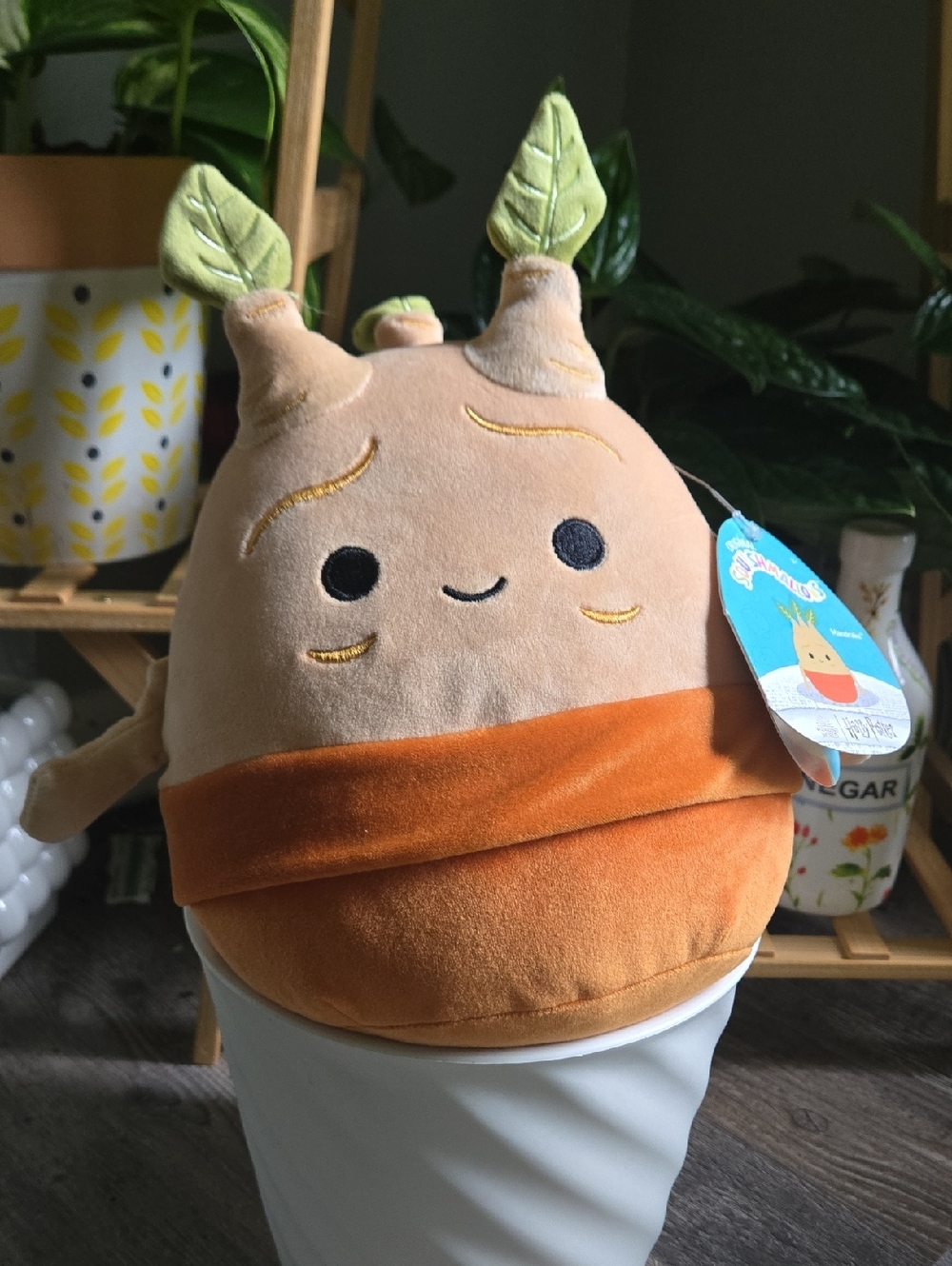 Mandrake 8in -Squishmallow Plush NWT